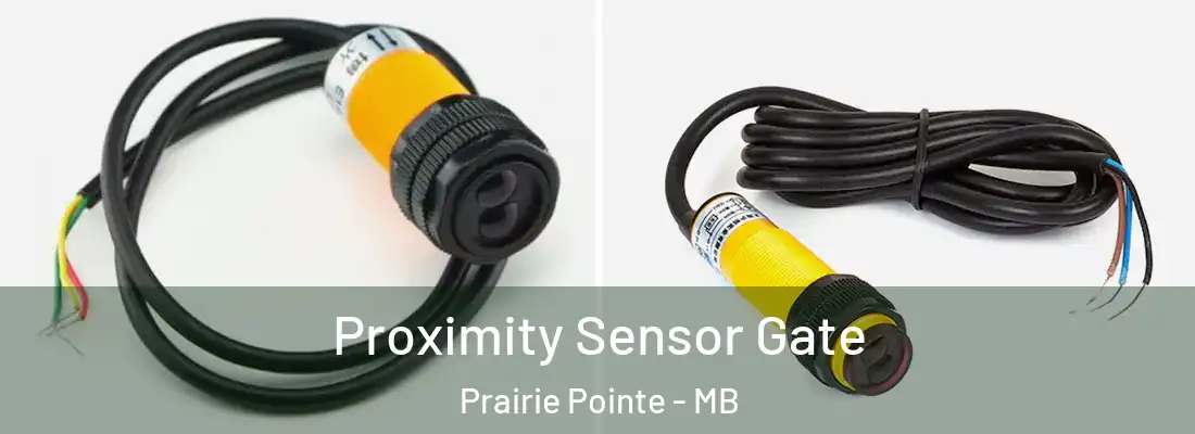  Proximity Sensor Gate Prairie Pointe - MB