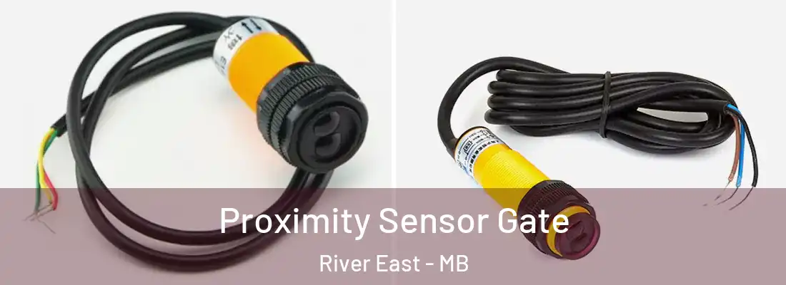  Proximity Sensor Gate River East - MB