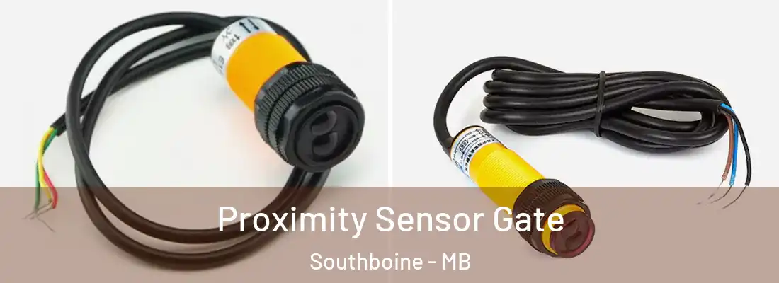  Proximity Sensor Gate Southboine - MB