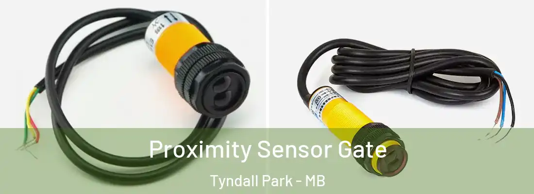  Proximity Sensor Gate Tyndall Park - MB