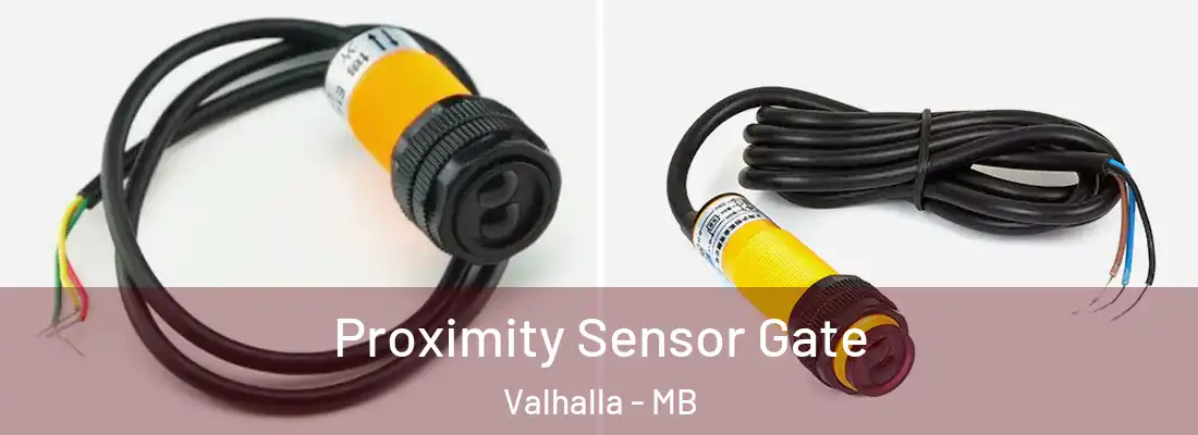  Proximity Sensor Gate Valhalla - MB
