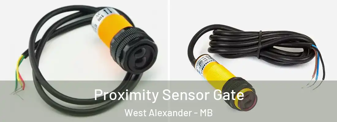  Proximity Sensor Gate West Alexander - MB