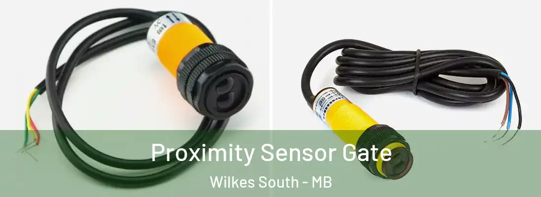  Proximity Sensor Gate Wilkes South - MB