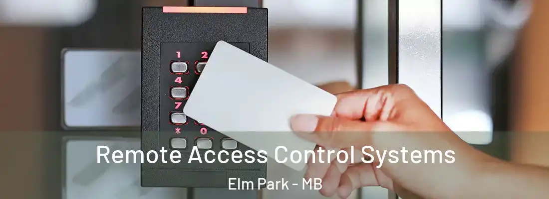  Remote Access Control Systems Elm Park - MB