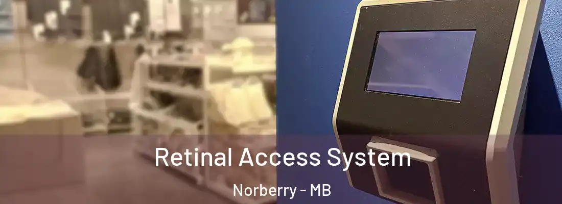  Retinal Access System Norberry - MB