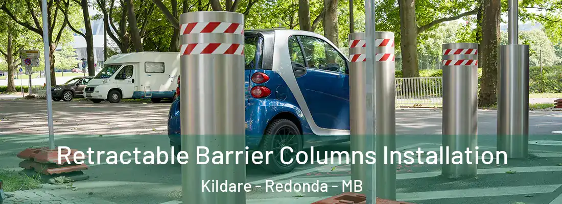  Retractable Barrier Columns Installation Kildare - Redonda - MB