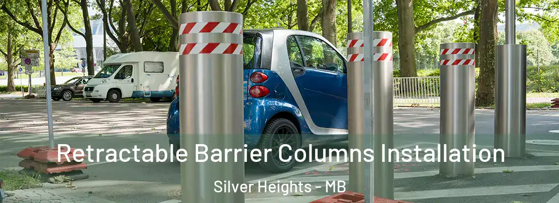  Retractable Barrier Columns Installation Silver Heights - MB