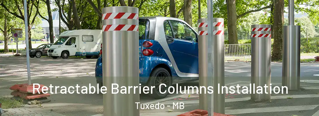  Retractable Barrier Columns Installation Tuxedo - MB