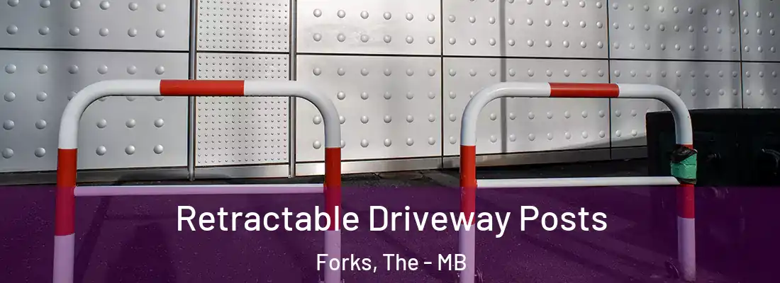  Retractable Driveway Posts Forks, The - MB