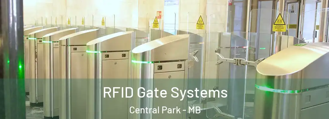  RFID Gate Systems Central Park - MB