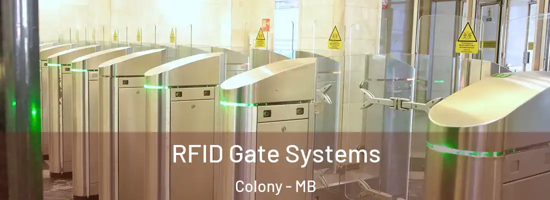  RFID Gate Systems Colony - MB