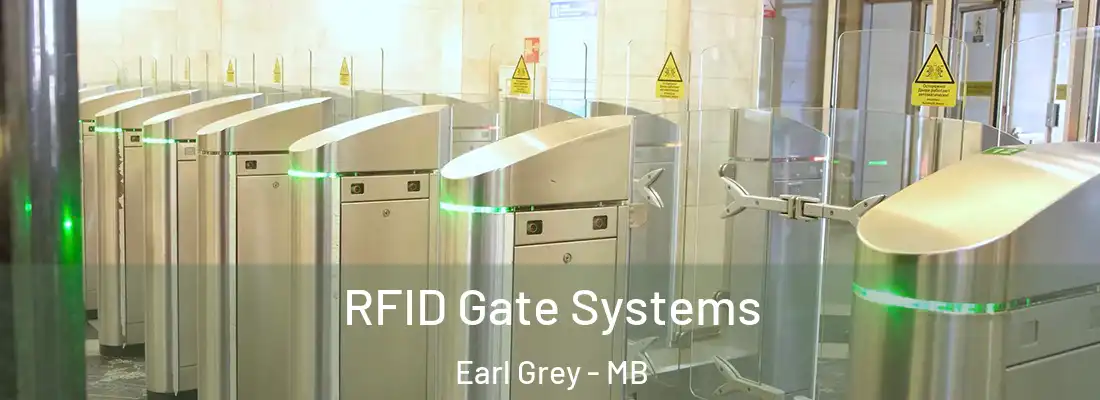  RFID Gate Systems Earl Grey - MB