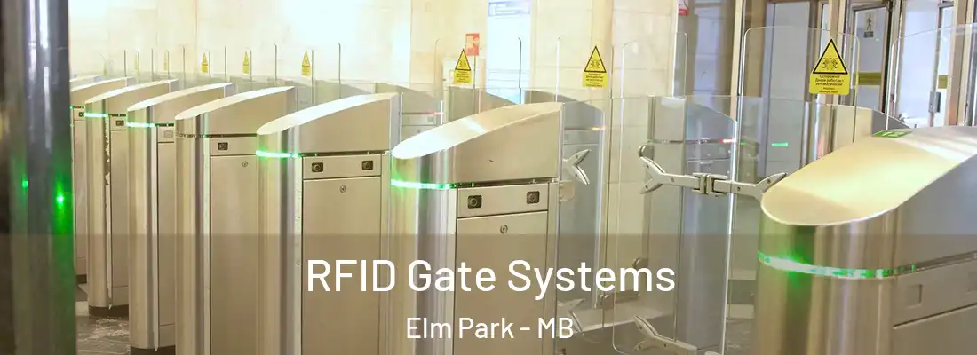  RFID Gate Systems Elm Park - MB