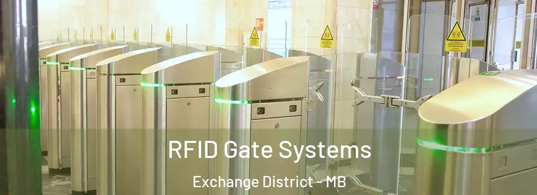  RFID Gate Systems Exchange District - MB
