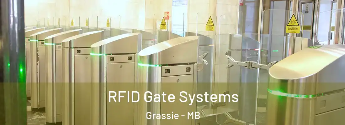  RFID Gate Systems Grassie - MB