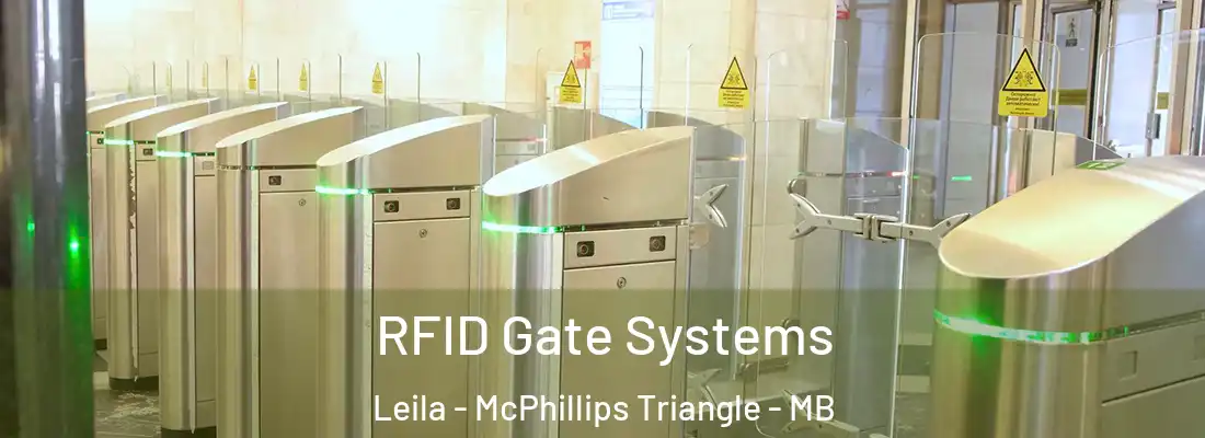  RFID Gate Systems Leila - McPhillips Triangle - MB