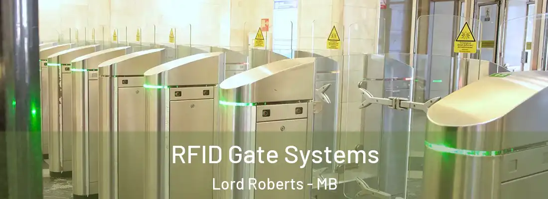  RFID Gate Systems Lord Roberts - MB
