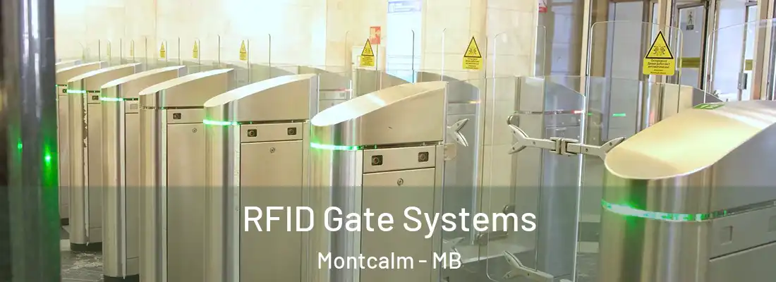  RFID Gate Systems Montcalm - MB