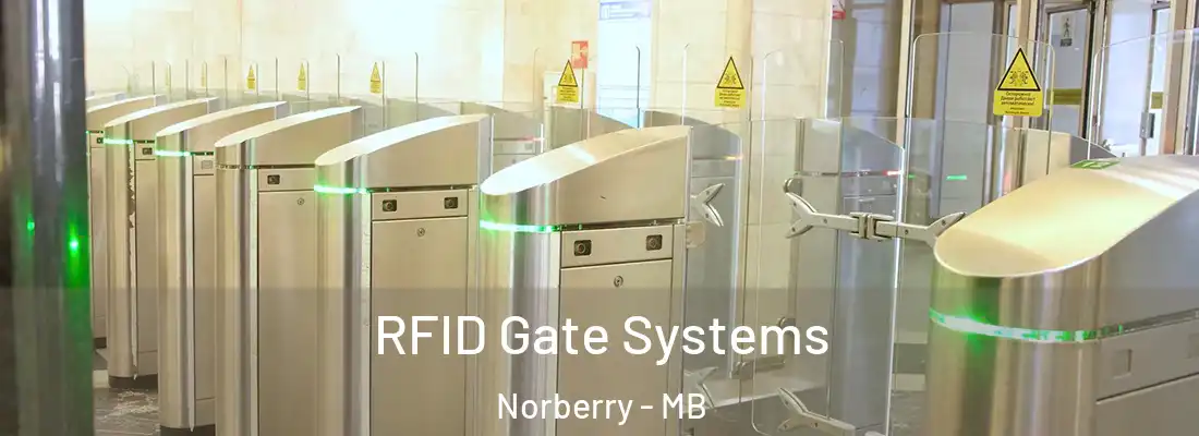  RFID Gate Systems Norberry - MB