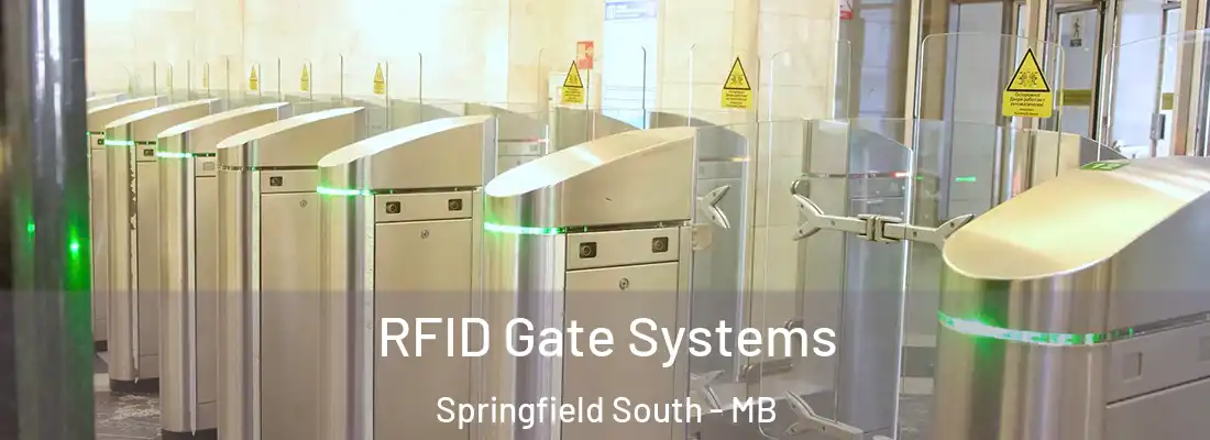  RFID Gate Systems Springfield South - MB