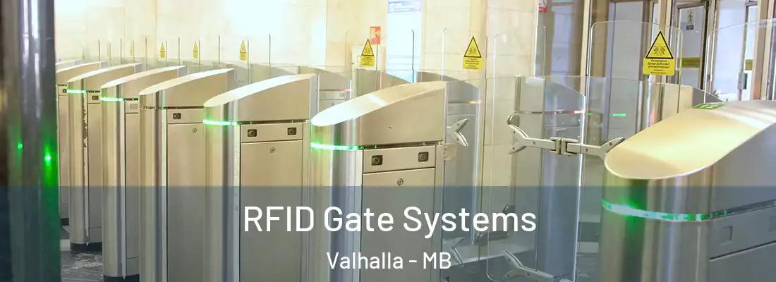  RFID Gate Systems Valhalla - MB