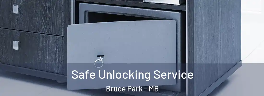  Safe Unlocking Service Bruce Park - MB