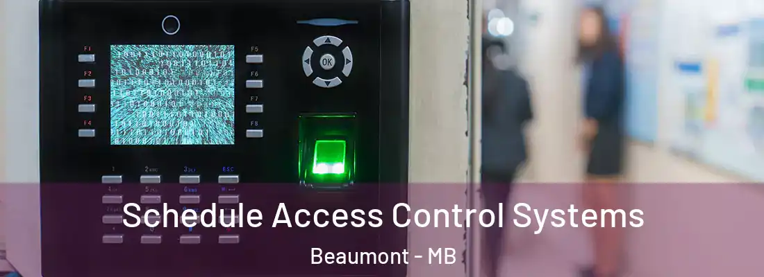  Schedule Access Control Systems Beaumont - MB