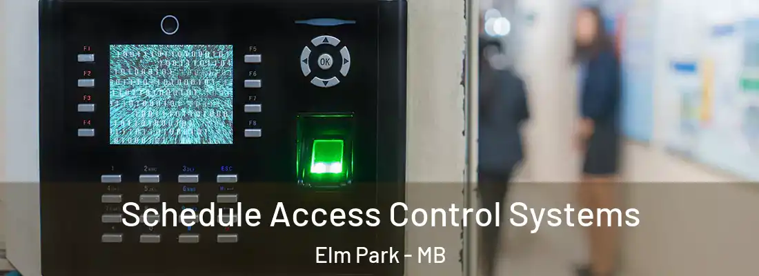  Schedule Access Control Systems Elm Park - MB
