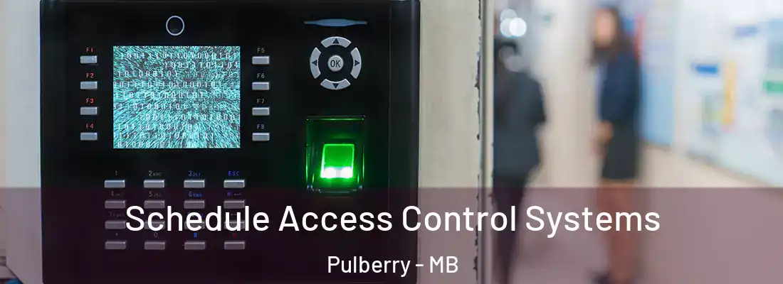  Schedule Access Control Systems Pulberry - MB