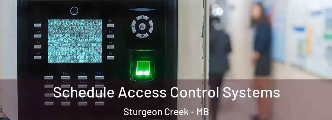  Schedule Access Control Systems Sturgeon Creek - MB