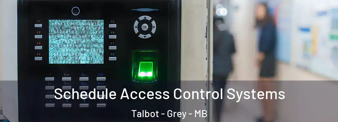  Schedule Access Control Systems Talbot - Grey - MB