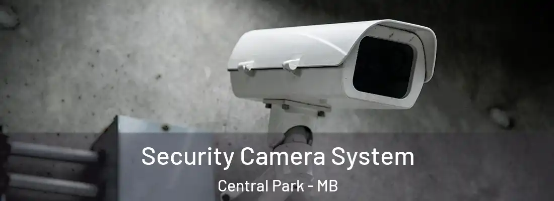  Security Camera System Central Park - MB