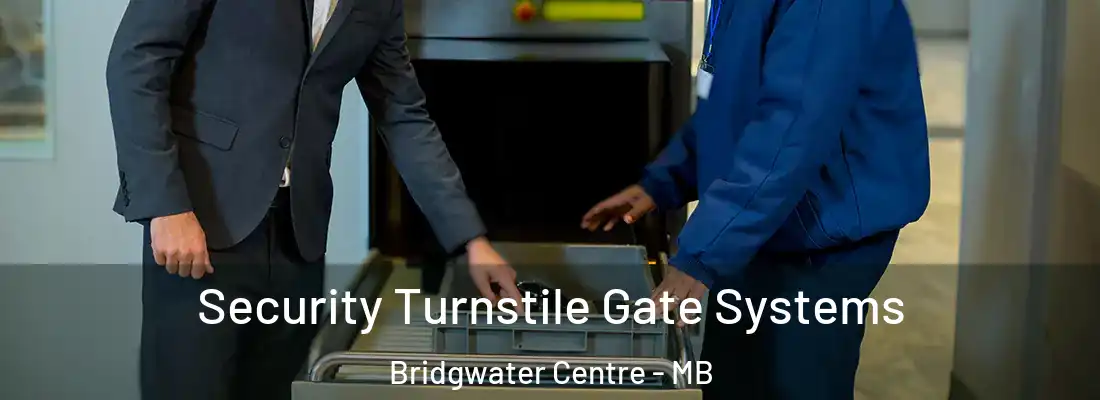  Security Turnstile Gate Systems Bridgwater Centre - MB