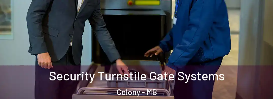  Security Turnstile Gate Systems Colony - MB