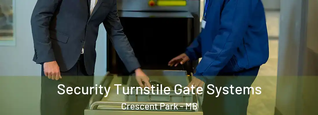  Security Turnstile Gate Systems Crescent Park - MB
