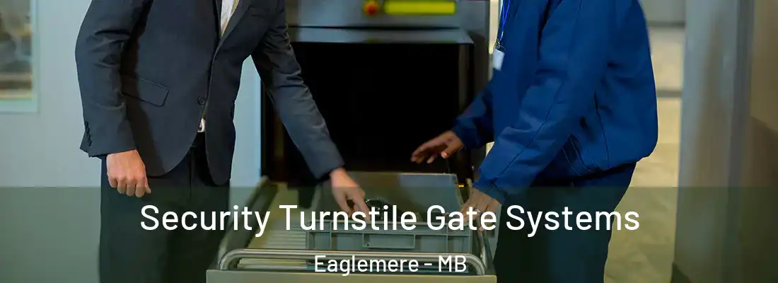  Security Turnstile Gate Systems Eaglemere - MB
