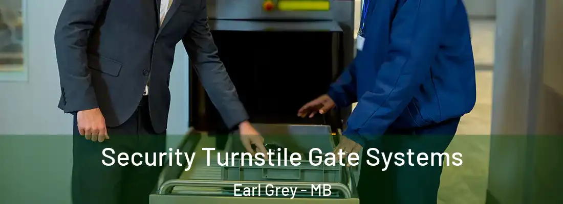  Security Turnstile Gate Systems Earl Grey - MB