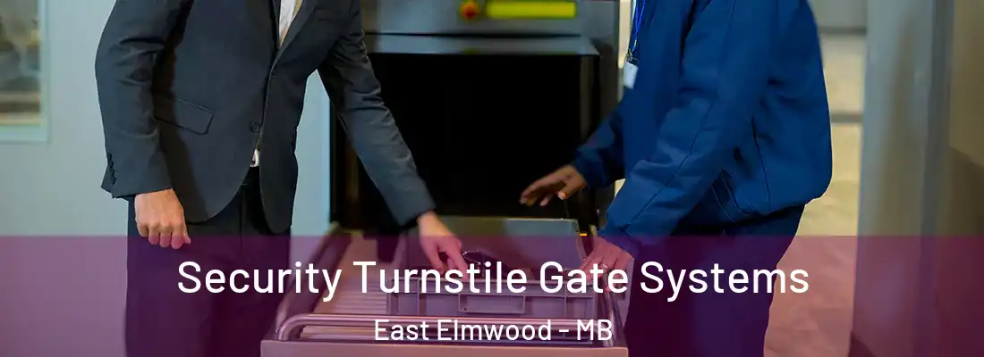 Security Turnstile Gate Systems East Elmwood - MB