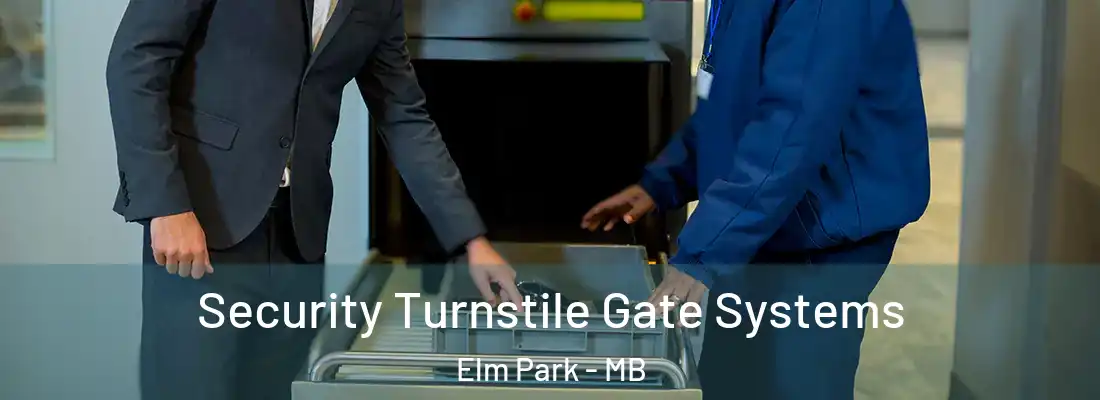  Security Turnstile Gate Systems Elm Park - MB