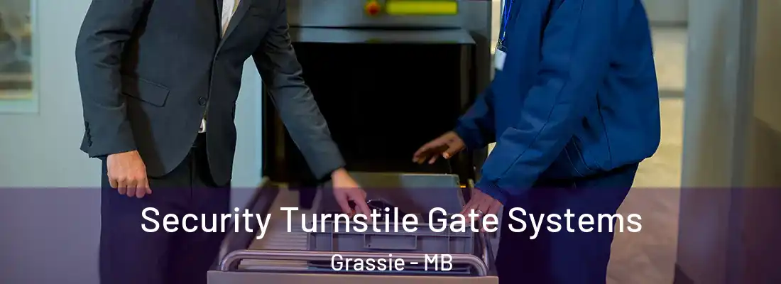  Security Turnstile Gate Systems Grassie - MB