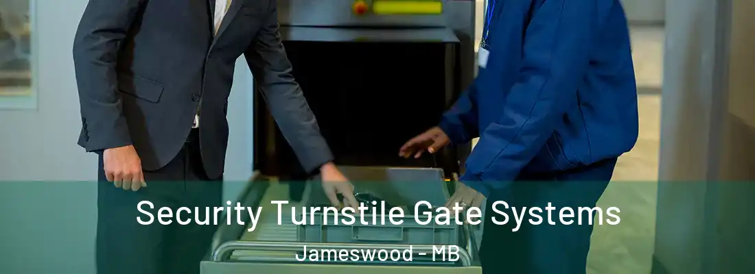 Security Turnstile Gate Systems Jameswood - MB