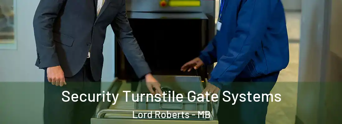  Security Turnstile Gate Systems Lord Roberts - MB