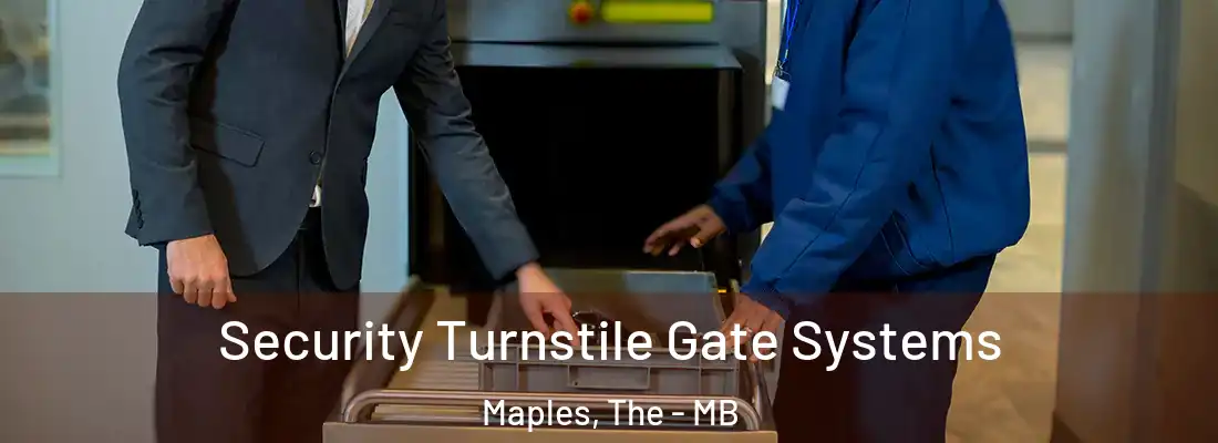  Security Turnstile Gate Systems Maples, The - MB