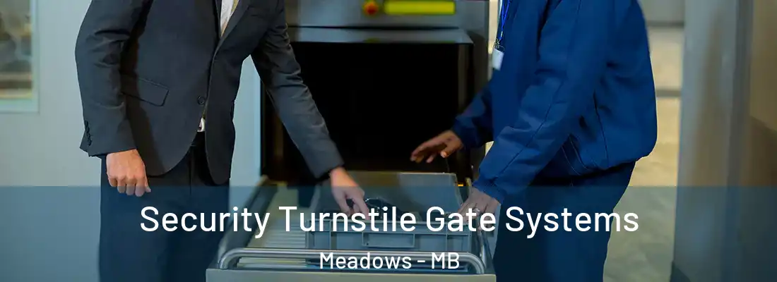  Security Turnstile Gate Systems Meadows - MB