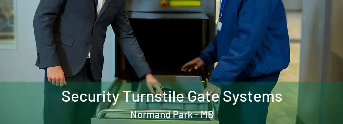  Security Turnstile Gate Systems Normand Park - MB