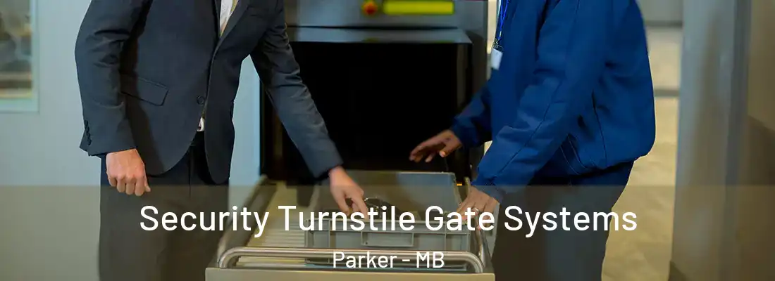  Security Turnstile Gate Systems Parker - MB