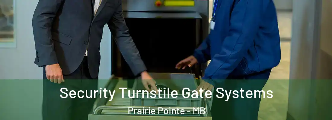  Security Turnstile Gate Systems Prairie Pointe - MB