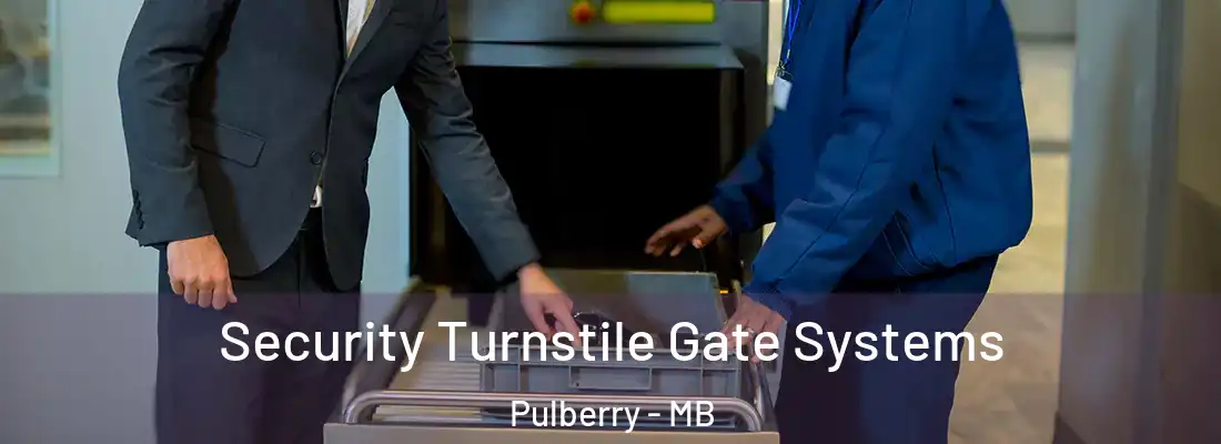  Security Turnstile Gate Systems Pulberry - MB