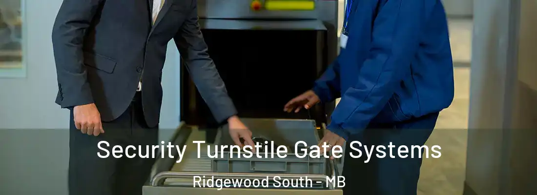  Security Turnstile Gate Systems Ridgewood South - MB