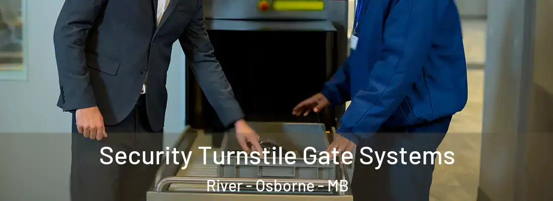  Security Turnstile Gate Systems River - Osborne - MB